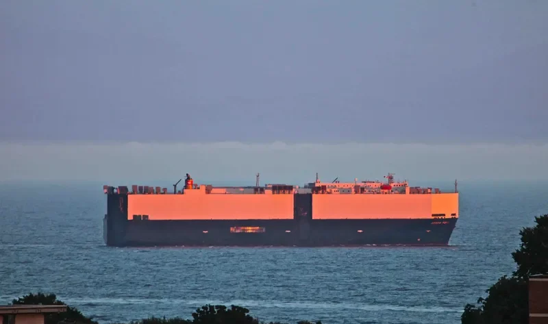 GEMINI LEADER General Cargo IMO 9056296 photo 8