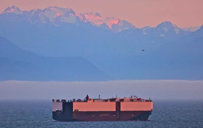 GEMINI LEADER General Cargo IMO 9056296 photo 9