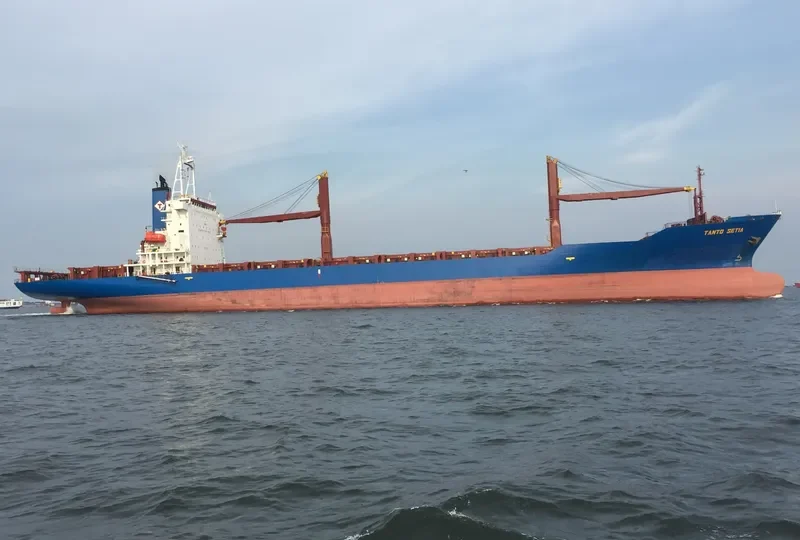 TANTO SETIA Container Ship IMO 9056519