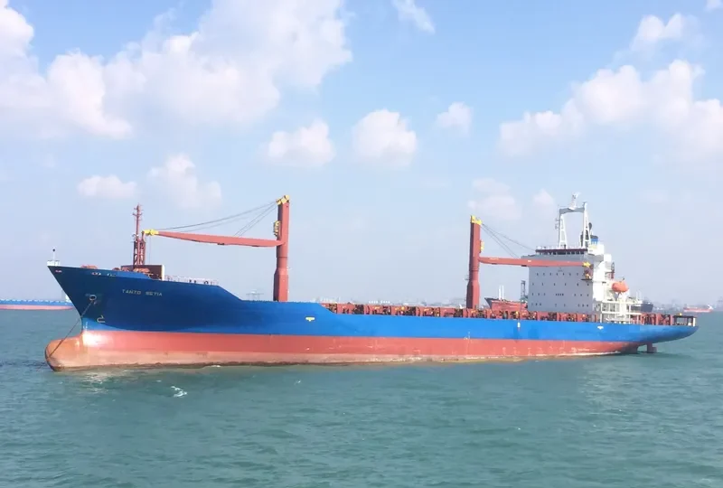 TANTO SETIA Container Ship IMO 9056519 photo 2