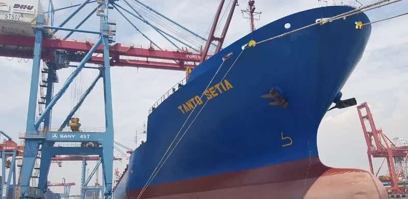 TANTO SETIA Container Ship IMO 9056519 photo 3