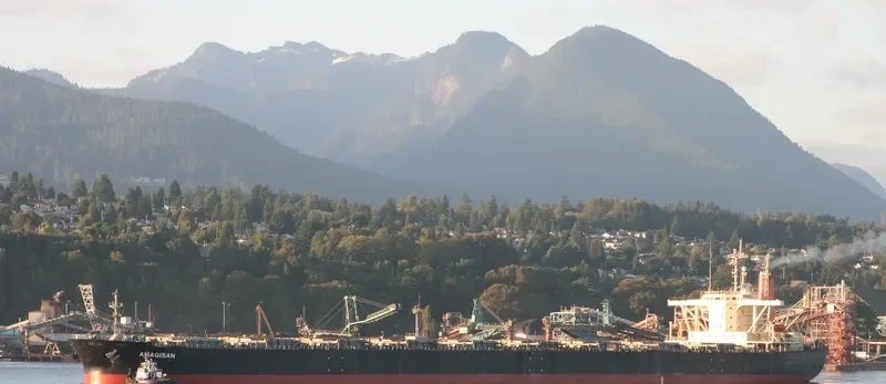AMAGISAN Bulk Carrier IMO 9056715