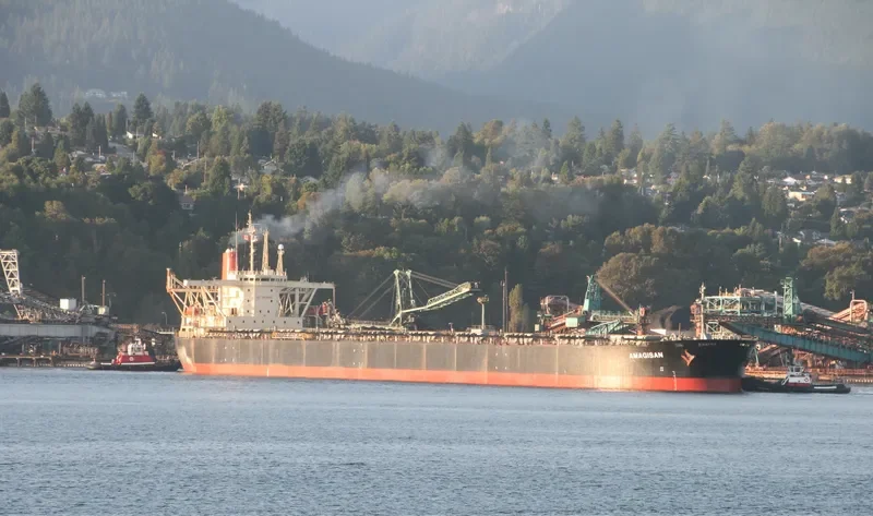 AMAGISAN Bulk Carrier IMO 9056715 photo 3