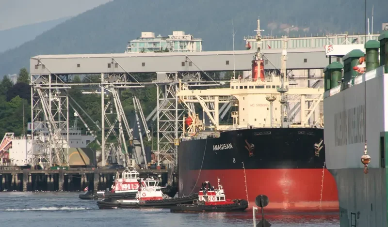 AMAGISAN Bulk Carrier IMO 9056715 photo 5