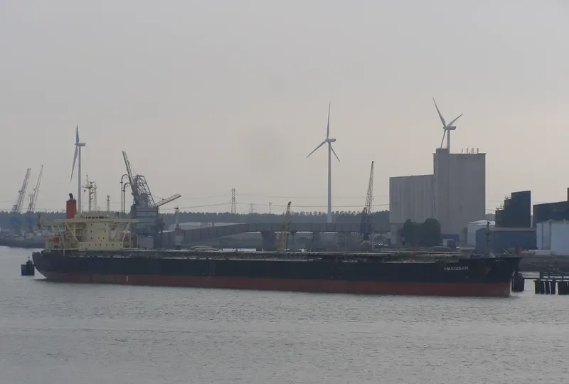 AMAGISAN Bulk Carrier IMO 9056715 photo 6