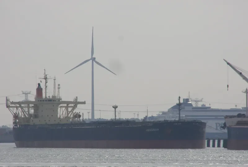 AMAGISAN Bulk Carrier IMO 9056715 photo 7