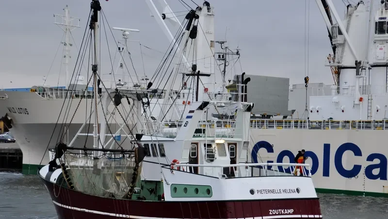 PIETERNELLE HELENA General Cargo IMO 9056856 photo 7