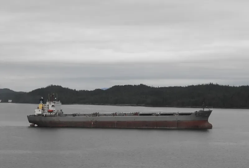 DE ZHOU HAI Bulk Carrier IMO 9056911 photo 3