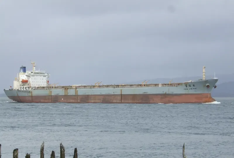 FEN JIN HAI Bulk Carrier IMO 9056923 photo 4