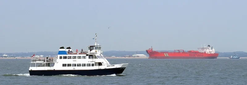 WIGHT SCENE Passenger Ship IMO 9056997 photo 7