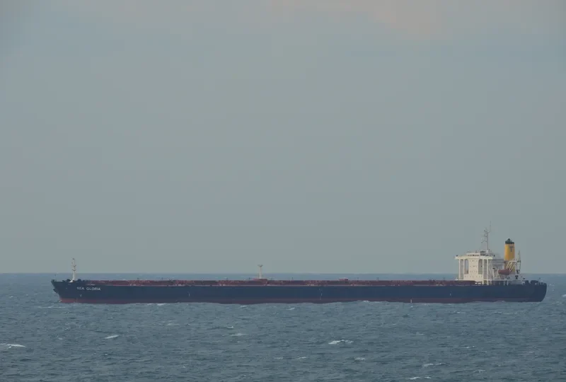 SEA GLORIA Bulk Carrier IMO 9057032 photo 2