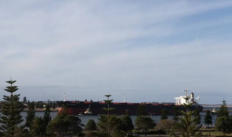 SEA GLORIA Bulk Carrier IMO 9057032 photo 3