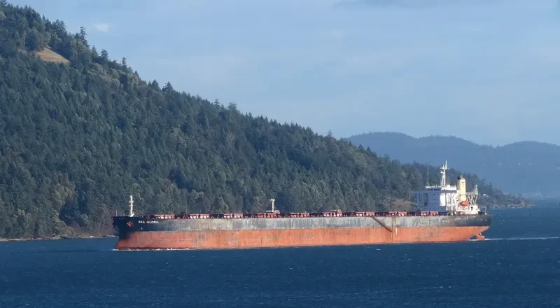 SEA GLORIA Bulk Carrier IMO 9057032 photo 5