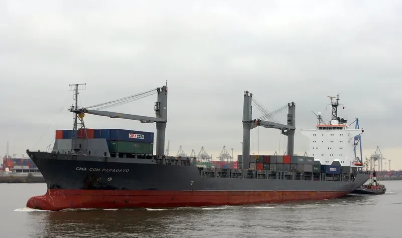 MSC PROSPECT Container Ship IMO 9057135