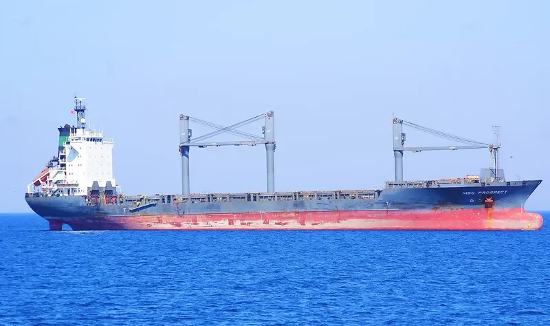 MSC PROSPECT Container Ship IMO 9057135 photo 2