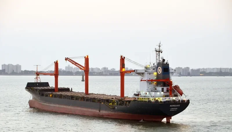 MSC AGATA Container Ship IMO 9057173