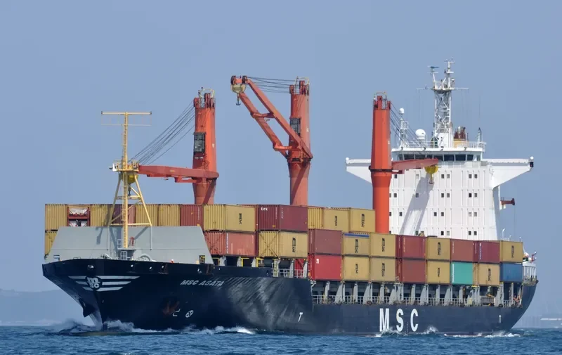 MSC AGATA Container Ship IMO 9057173 photo 2