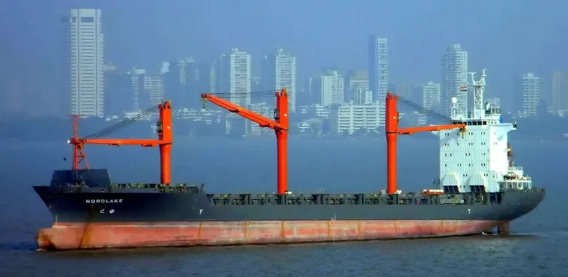 MSC AGATA Container Ship IMO 9057173 photo 3