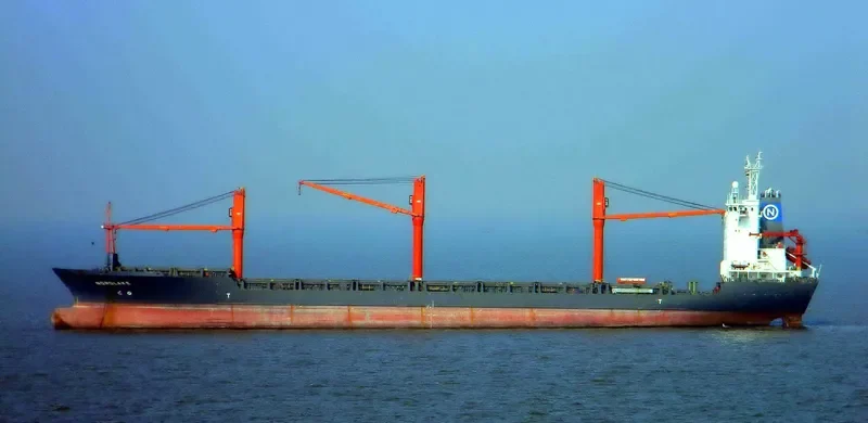 MSC AGATA Container Ship IMO 9057173 photo 5