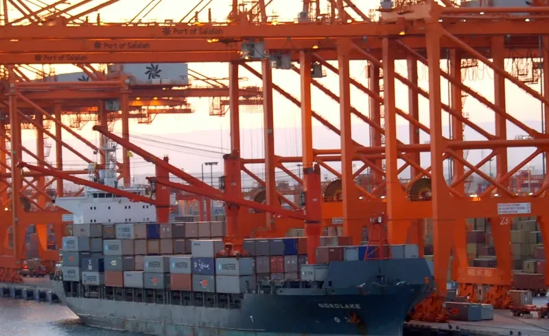 MSC AGATA Container Ship IMO 9057173 photo 6