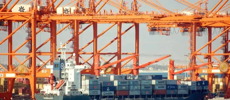MSC AGATA Container Ship IMO 9057173 photo 7