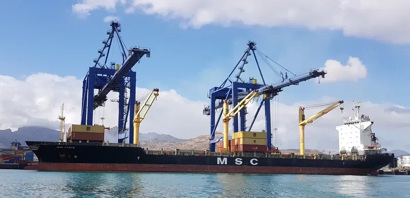 MSC AGATA Container Ship IMO 9057173 photo 9
