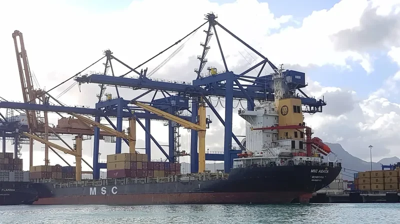 MSC AGATA Container Ship IMO 9057173 photo 10