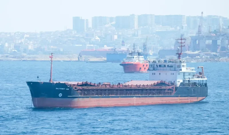BALTIYSKIY 202 General Cargo IMO 9057252