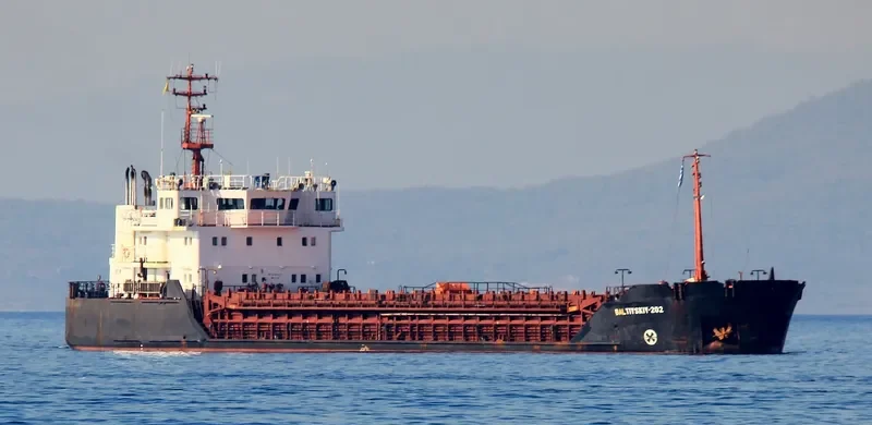 BALTIYSKIY 202 General Cargo IMO 9057252 photo 2