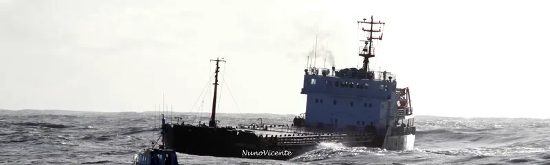 LEONID LEONOV General Cargo IMO 9057276 photo 2
