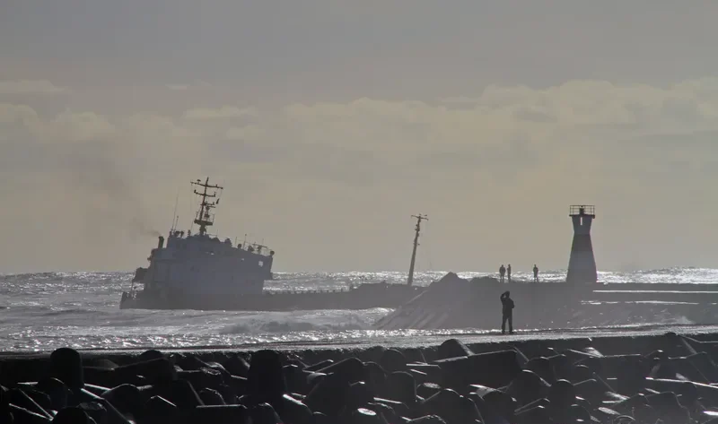 LEONID LEONOV General Cargo IMO 9057276 photo 3
