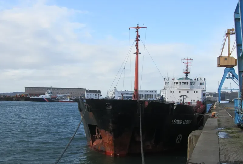 LEONID LEONOV General Cargo IMO 9057276 photo 6