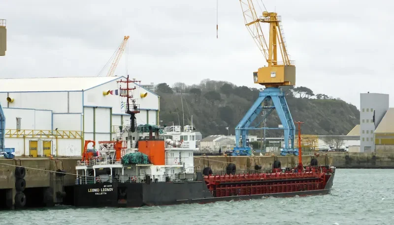 LEONID LEONOV General Cargo IMO 9057276 photo 7