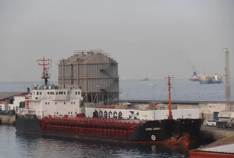 LEONID LEONOV General Cargo IMO 9057276 photo 8