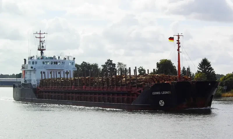 LEONID LEONOV General Cargo IMO 9057276 photo 10