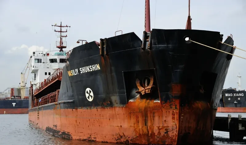 VASILIY SHUKSHIN General Cargo IMO 9057288