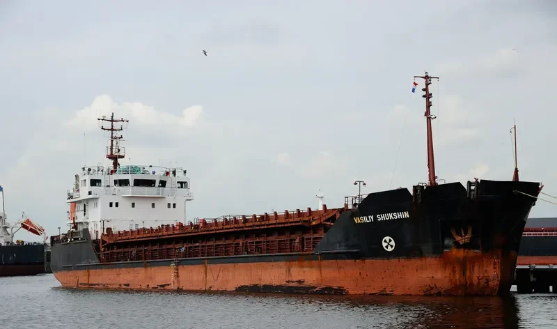VASILIY SHUKSHIN General Cargo IMO 9057288 photo 2