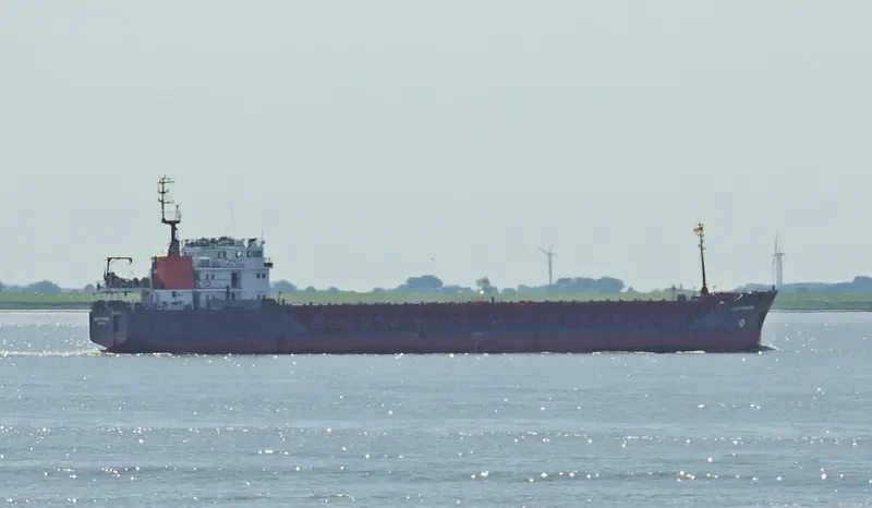 VASILIY SHUKSHIN General Cargo IMO 9057288 photo 3