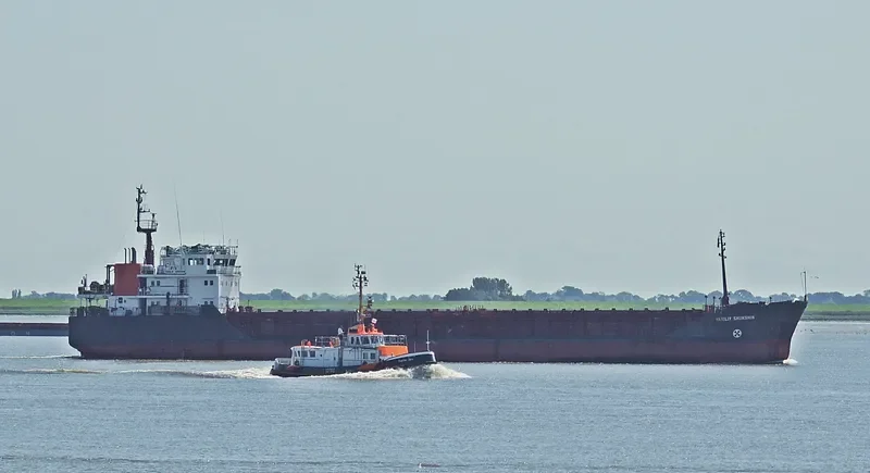 VASILIY SHUKSHIN General Cargo IMO 9057288 photo 4