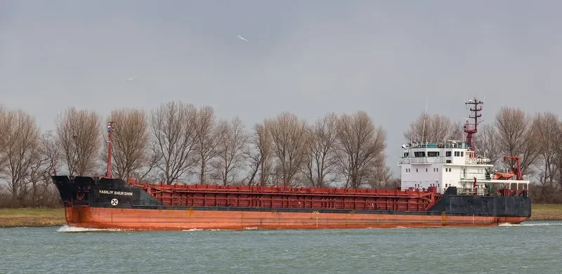 VASILIY SHUKSHIN General Cargo IMO 9057288 photo 5