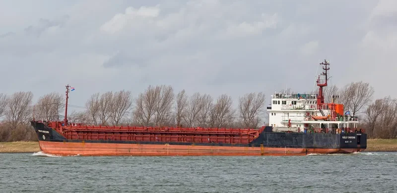 VASILIY SHUKSHIN General Cargo IMO 9057288 photo 6