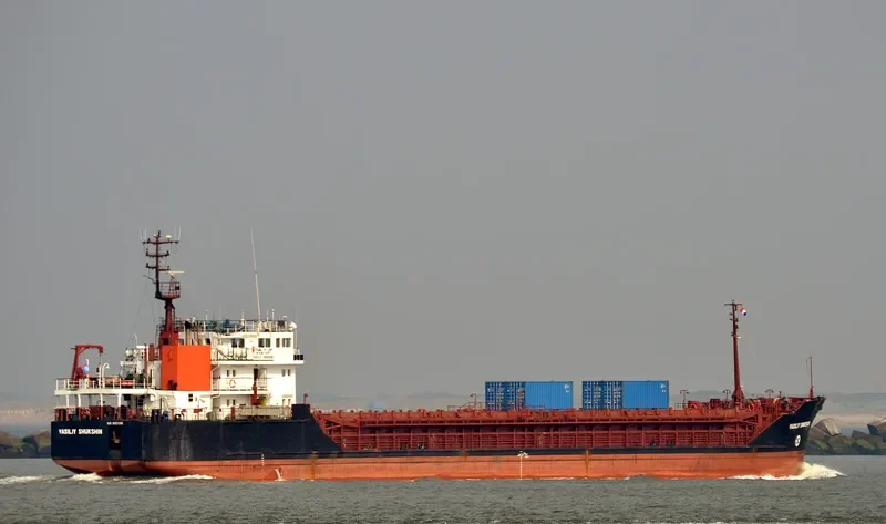 VASILIY SHUKSHIN General Cargo IMO 9057288 photo 7