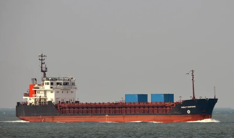 VASILIY SHUKSHIN General Cargo IMO 9057288 photo 8