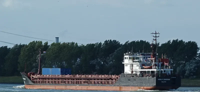 VASILIY SHUKSHIN General Cargo IMO 9057288 photo 9