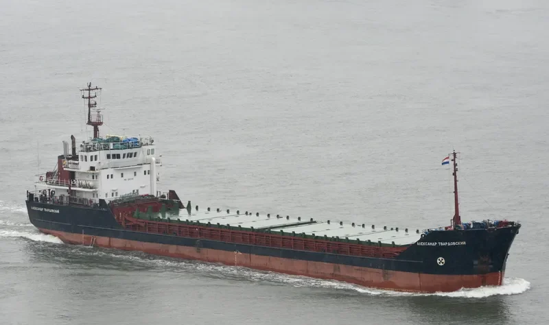 ALEXANDER TVARDOVSKIY General Cargo IMO 9057290 photo 5