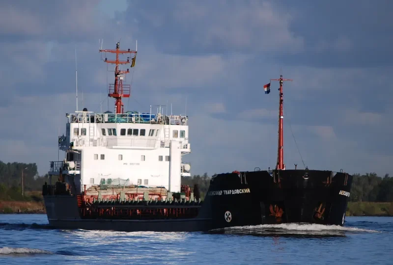 ALEXANDER TVARDOVSKIY General Cargo IMO 9057290 photo 6