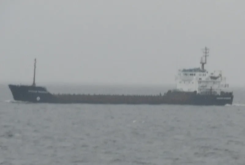 ALEXANDER TVARDOVSKIY General Cargo IMO 9057290 photo 7
