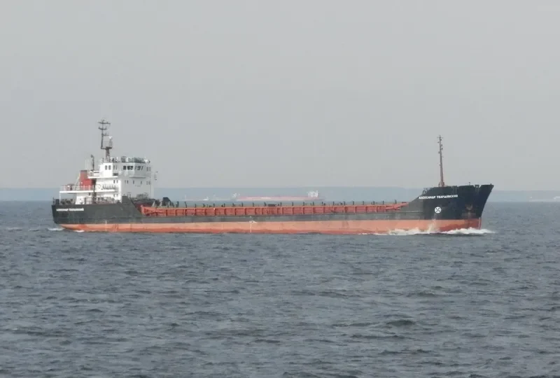 ALEXANDER TVARDOVSKIY General Cargo IMO 9057290 photo 8