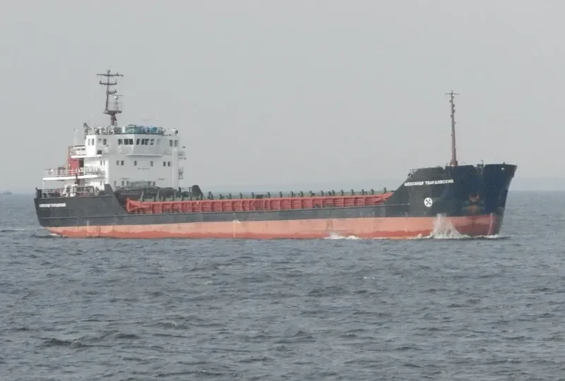 ALEXANDER TVARDOVSKIY General Cargo IMO 9057290 photo 9