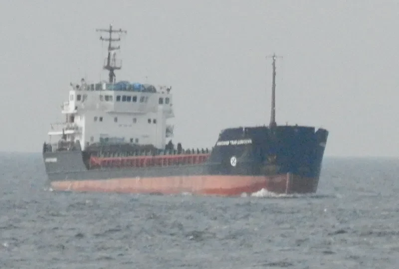 ALEXANDER TVARDOVSKIY General Cargo IMO 9057290 photo 10